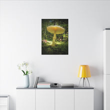 "Sunlight Through a Mushroom" - Inspirational Northern Ontario Nature Canvas Wall Art - Original Photography