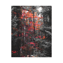 "Red Maple In The Pines" - Inspirational Northern Ontario Nature Canvas Wall Art - Original Photography