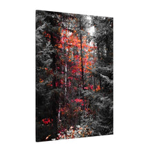 "Red Maple In The Pines" - Inspirational Northern Ontario Nature Canvas Wall Art - Original Photography
