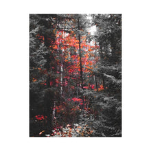 "Red Maple In The Pines" - Inspirational Northern Ontario Nature Canvas Wall Art - Original Photography