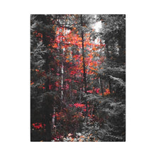 "Red Maple In The Pines" - Inspirational Northern Ontario Nature Canvas Wall Art - Original Photography