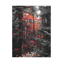 "Red Maple In The Pines" - Inspirational Northern Ontario Nature Canvas Wall Art - Original Photography