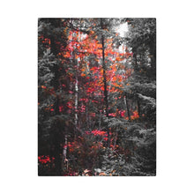 "Red Maple In The Pines" - Inspirational Northern Ontario Nature Canvas Wall Art - Original Photography