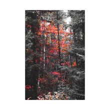 "Red Maple In The Pines" - Inspirational Northern Ontario Nature Canvas Wall Art - Original Photography