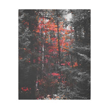 "Red Maple In The Pines" - Inspirational Northern Ontario Nature Canvas Wall Art - Original Photography