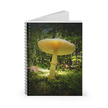 "Sunlight Through a Mushroom" Spiral Notebook - Ruled Line