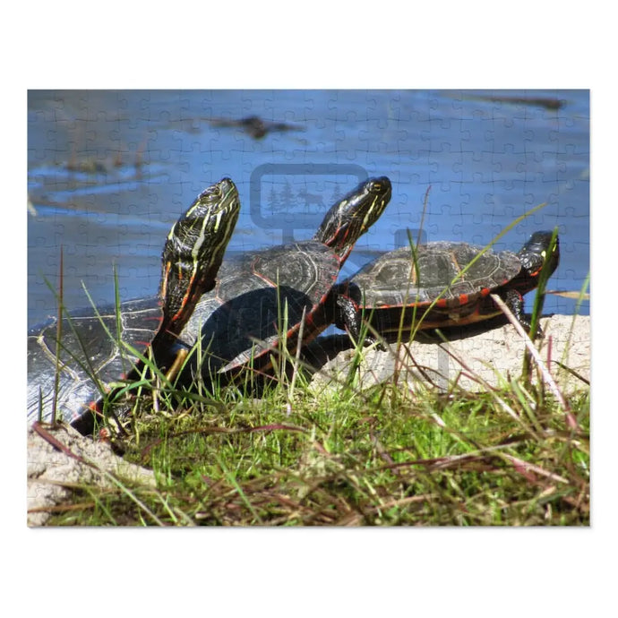 ’Basking Painted Turtles’ Jigsaw Puzzle (30 110 252 500 1000-Piece) 14’’ × 11’’ (252 Pcs)