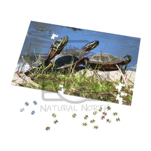 ’Basking Painted Turtles’ Jigsaw Puzzle (30 110 252 500 1000-Piece)