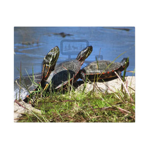 ’Basking Painted Turtles’ Jigsaw Puzzle (30 110 252 500 1000-Piece) 9.6’’ × 8’’ (110 Pcs)