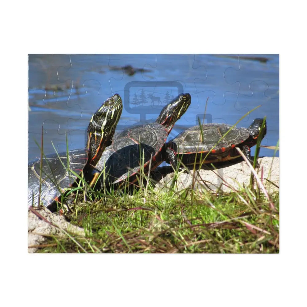 ’Basking Painted Turtles’ Jigsaw Puzzle (30 110 252 500 1000-Piece) 9.6’’ × 8’’ Pcs)