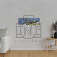 ’Basking Painted Turtles’ Matte Canvas Stretched 0.75’’