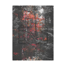 ’Red Maple In The Pines’ On Matte Canvas Stretched 0.75’’ 12″ X 16″ (Vertical) /