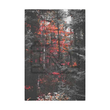 ’Red Maple In The Pines’ On Matte Canvas Stretched 0.75’’ 12″ X 18″ (Vertical) /