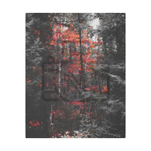 ’Red Maple In The Pines’ On Matte Canvas Stretched 0.75’’ 16″ X 20″ (Vertical) /