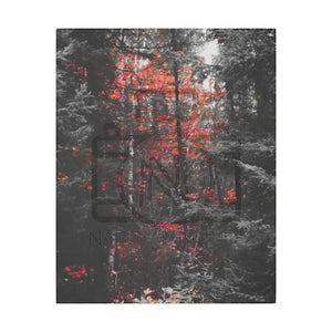 ’Red Maple In The Pines’ On Matte Canvas Stretched 0.75’’ 16″ X 20″ (Vertical) /