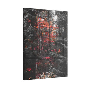 ’Red Maple In The Pines’ On Matte Canvas Stretched 0.75’’