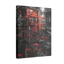 ’Red Maple In The Pines’ On Matte Canvas Stretched 0.75’’