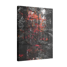 ’Red Maple In The Pines’ On Matte Canvas Stretched 0.75’’