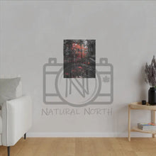 ’Red Maple In The Pines’ On Matte Canvas Stretched 0.75’’