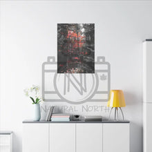 ’Red Maple In The Pines’ On Matte Canvas Stretched 0.75’’