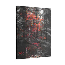 ’Red Maple In The Pines’ On Matte Canvas Stretched 0.75’’