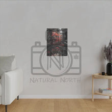 ’Red Maple In The Pines’ On Matte Canvas Stretched 0.75’’