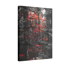 ’Red Maple In The Pines’ On Matte Canvas Stretched 0.75’’