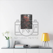 ’Red Maple In The Pines’ On Matte Canvas Stretched 0.75’’
