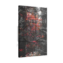 ’Red Maple In The Pines’ On Matte Canvas Stretched 0.75’’
