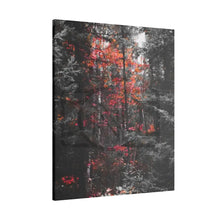 ’Red Maple In The Pines’ On Matte Canvas Stretched 0.75’’