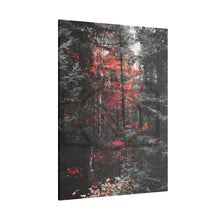 ’Red Maple In The Pines’ On Matte Canvas Stretched 0.75’’