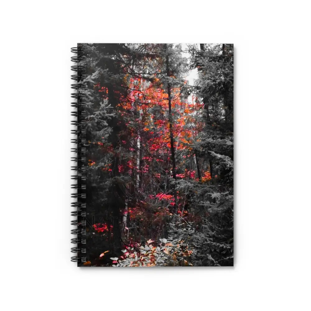 ’Red Maple In The Pines’ Spiral Notebook - Ruled Line One Size Paper Products