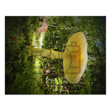 ’Sunlight Through A Mushroom’ Jigsaw Puzzle (30 110 252 500 1000-Piece) 14’’ × 11’’ (252 Pcs)