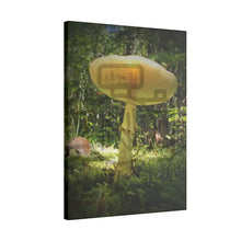 ’Sunlight Through A Mushroom’ Matte Canvas Stretched 0.75’’