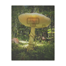 ’Sunlight Through A Mushroom’ Matte Canvas Stretched 0.75’’ 11″ X 14″ (Vertical) /