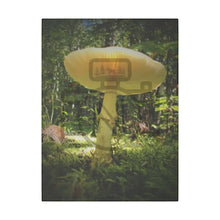 ’Sunlight Through A Mushroom’ Matte Canvas Stretched 0.75’’ 12″ X 16″ (Vertical) /