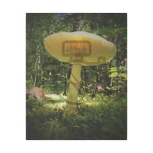 ’Sunlight Through A Mushroom’ Matte Canvas Stretched 0.75’’ 16″ X 20″ (Vertical) /