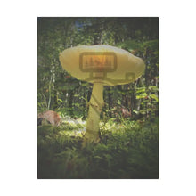 ’Sunlight Through A Mushroom’ Matte Canvas Stretched 0.75’’ 18″ X 24″ (Vertical) /