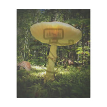 ’Sunlight Through A Mushroom’ Matte Canvas Stretched 0.75’’ 20’’ X 24’’ (Vertical) /
