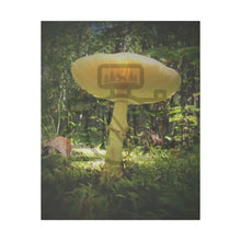 ’Sunlight Through A Mushroom’ Matte Canvas Stretched 0.75’’ 24’’ X 30’’ (Vertical) /