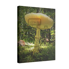 ’Sunlight Through A Mushroom’ Matte Canvas Stretched 0.75’’