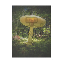 ’Sunlight Through A Mushroom’ Matte Canvas Stretched 0.75’’ 30’’ X 40’’ (Vertical) /