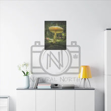 ’Sunlight Through A Mushroom’ Matte Canvas Stretched 0.75’’