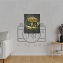 ’Sunlight Through A Mushroom’ Matte Canvas Stretched 0.75’’