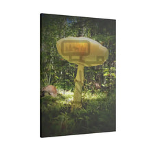 ’Sunlight Through A Mushroom’ Matte Canvas Stretched 0.75’’