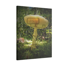 ’Sunlight Through A Mushroom’ Matte Canvas Stretched 0.75’’