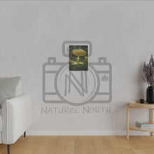 ’Sunlight Through A Mushroom’ Matte Canvas Stretched 0.75’’