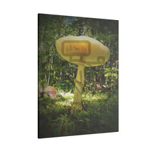 ’Sunlight Through A Mushroom’ Matte Canvas Stretched 0.75’’