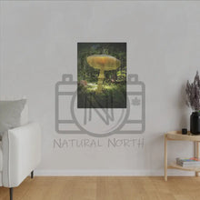 ’Sunlight Through A Mushroom’ Matte Canvas Stretched 0.75’’