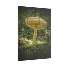 ’Sunlight Through A Mushroom’ Matte Canvas Stretched 0.75’’